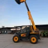 Manitou Dieci Dedalus 30.7 an 2004